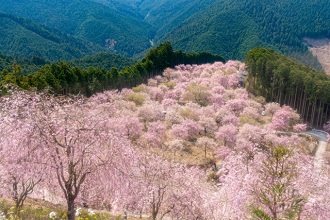 奈良市