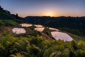 三條市 - 堺市