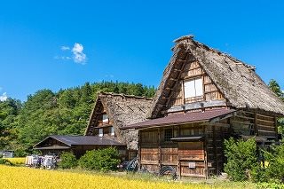 Rice fields and thatched roof houses