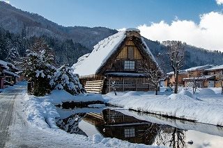 Rice fields and thatched roof houses