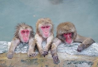 Yunokawa Open Air Bath