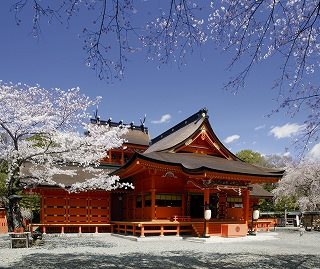 東京 - 富士 / 富士宮線