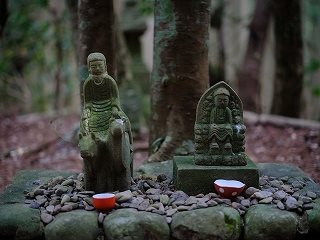 Sightseeing Bus: Kumano Trails & Nakahechi with local storytellers