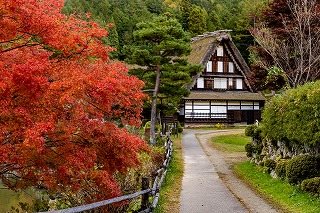 Autumn Hida Takayama by Nostalgic “Bonnet Bus” — Hida no Sato & Hikaru Museum