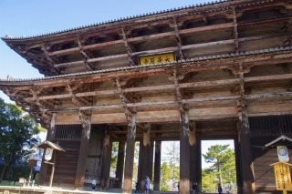 英语导览观光巴士 “Perfect Nara Park Tour”