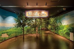 ROYCE’ CACAO & CHOCOLATE TOWN, Sapporo Mt. Moiwa Ropeway, and Sapporo Central Wholesale Market Tour 