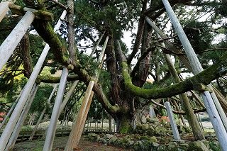 Hakusan Area Bus Tours