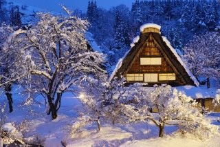 白川鄉合掌造民家園點燈行程