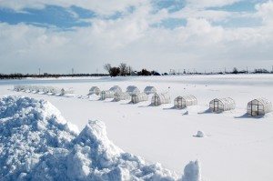 【얼음낚시 체험】빙어낚시 ＆ 신시노쓰 온천 입욕 코스 (다언어 안내 시스템 비탑재)
