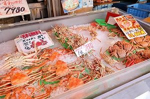 ROYCE’可可＆巧克力小鎮、札幌藻岩山纜車、場外市場路線（未設置多國語言導覽系統）