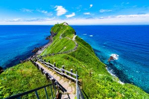 積丹神威岬・小樽運河・白色戀人公園路線（未設置多國語言導覽系統）