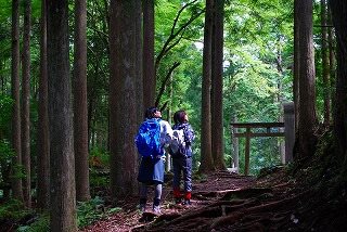 行程 C: 導覽員為您解說　世界遺產「熊野古道・中邊路」