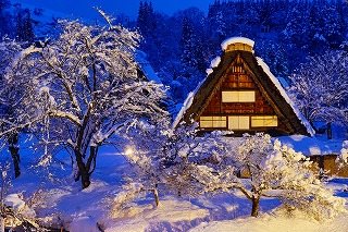 From Takayama: Course C Shirawakago Illumination Bus with Hirase Onsen Bath Ticket & Souvenir